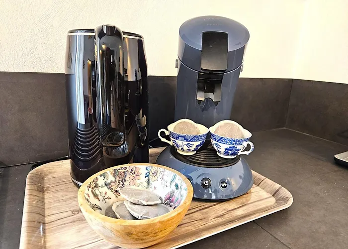 T4- Centre Ville- Parking Prive קולמר